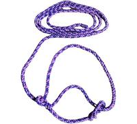 Cotton Rope Halter for Ponies and Small Animals - Adjustable Lightweight Halter for Shetland, Section A, Sheep, Llama and Calf - Made in the UK (Pink/Purple)