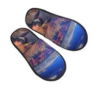 Cotton Slippers Beauty Grand Canyon Fluffy Sliders Comfy Slippers For Bedroom Trip Winter L