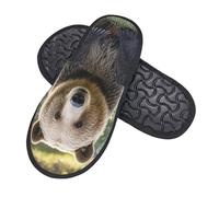 Cotton Slippers Hi Bear Sit On The Lawn Comfy Sliders Portable Slippers For Big Kid Hotel Christmas L
