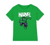 Cotton Soul Hulk Pixel Kids T Shirt, Irish Green, 5-6 Years