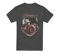 Cotton Soul Labyrinth Globes Unisex T Shirt, Charcoal