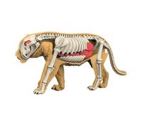 CoudarTitie Animal Body Model And Its Organs: A Realistic Educational Tool for The Study of Animal Biology, 3107