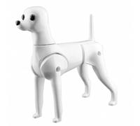 CoudarTitie Grooming Practice Mannequin Dog Grooming Training Model Mannequin Figure with Articulated Skeleton PE Construction Realistic Details suitable for , Teddy Skeleton