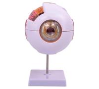 CoudarTitie Human Eye Model Desk Figure 4D Disassembled Eye Model for Research