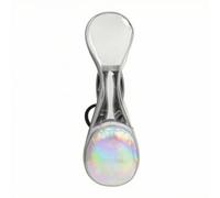 CoudarTitie Musical Case Chinese Lute Case Bag Cover with Transparent Front and Secure Zipper Entry Lightweight PVC PU Leather, color to 2, style to 2