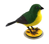 CoudarTitie Voice-activated Educational Toys for Birds, C