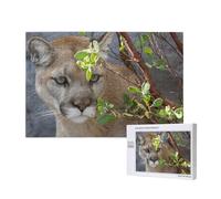 Cougar,1000 Pieces Wooden Jigsaw Family Game Jigsaw Puzzles for Adults Teens Home Decor