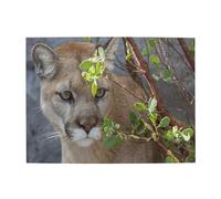 Cougar,500 Pieces Puzzles for Adults-Wooden Jigsaw Puzzle for Adults Elderly