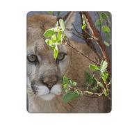 Cougar Square Mouse Pad Sewn Edge Design 10&12in