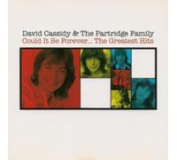 Could It Be Forever - The Greatest Hits