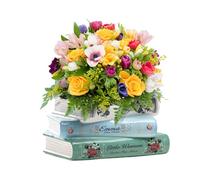 Could Spark Bookstack Ceramic Planter - Small Flower Vase for Succulents, Air Plants, Desk Decor - Mini Book-Shaped Pot for Bookshelf, Office, Bedroom for Book Lovers (Classic Design) 18 * 10 * 9.5cm