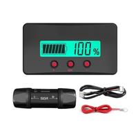 Coulomb Meter 10A-400A Shunt Capacity Monitor 8-120V Voltage Gauge | This coulomb counter monitors DC voltage from 8V to 120V and current up to 400A with a high- shunt.
