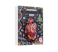 Countdown Calendar 2025-10.24 Inch 2D Anatomy Figures 2025 | Christmas Tree Decorations With Countdown For Doctor Lovers Holiday Party Wall Table Cha