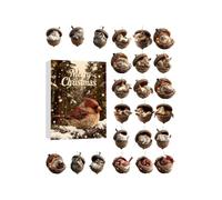 Countdown Calendar for Advent Animal, Acrylic Flat Reusable, Acorn Decorations , For Adults Teens Friends Tree Window Wall Door Fireplace