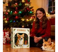 Countdown Calendar Pet Ornament, Reindeer Snowflake Design 2D Flat 24-Day, Countdown To Christmas Pet Calendar, for Kids Teen Adult Boy Girl Women Men Family Vacation Holiday Classroom Desk Wall Tree