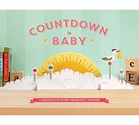 Countdown to Baby: A Decorative Paper Pregnancy Tracker