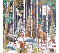 Countdown to Christmas - 24 Door - Festive Mini (6.5" x 6.5") Advent Calendar Gift Card with Envelope by Ling Design (Magical Forest)