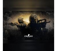 Counter-Strike 2 - Prime Status Upgrade (PC) Steam Account - GLOBAL
