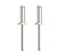 Countersunk Aluminium Blind Rivets, 100Pcs 5mm 6mm Open End Pop Rivets Steel Mandrel for Auto DIY Metal(6x8mm)
