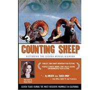 Counting Sheep