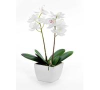 Country Baskets Artificial Orchid Potted Mini Cream, Fabric