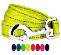 Country Brook Petz - 1 Inch Hot Yellow Reflective Nylon Dog Leash - 4 Foot
