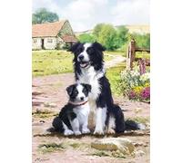 COUNTRY CARDS COLLIE AND PUPPY BIRTHDAY CARD 10911HB