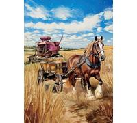 COUNTRY CARDS HORSE AND CART BIRTHDAY CARD 10939 BLANK