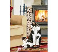 Country Cards - House Cats Happy Birthday 10731HB