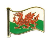 Country Flag Pin Badges - Size 20mm - Enamel Colours on Gold Finish - Butterfly Clasp - Choice of Countries. (Wales Flag Pin Badge)