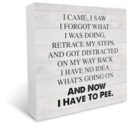 Country I Came I Saw I Forgot Sayings Wood Box Sign Desk Sign Funny Wood Block Sign Desk Decorations for Home Office Shelf Table Decoration 5x5 Inch