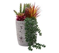 COUNTRY LIVING Artificial Succulent Plant Trailing In A White Pot