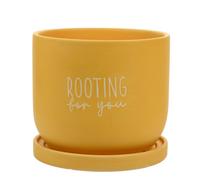 Widdop Bright Yellow Ceramic Plant Pot With Saucer Rooting For You Planter Large Country Living