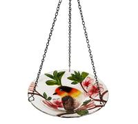 Country Living Hanging Bird Feeder Robin