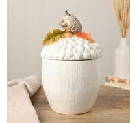 Country Living Hedgehog On An Acorn Storage Jar