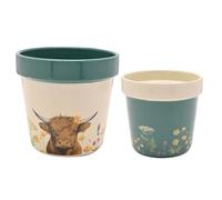 Country Living Set of 2 Planters - Flower Pots for Plants, Cute Flowerpot for Garden, House, Living Room, Office, Small Indoor & Outdoor Gardening Gifting - 12cm x 11cm (Cream/Blue - Highland Cow)