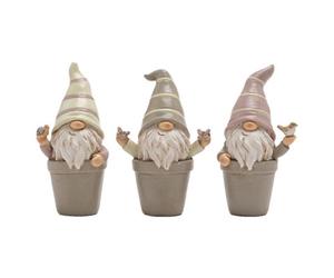 Country Living Set Of 3 Mini Potted Gonks