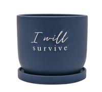 Country Living The Collection Ceramic Plant Pot - "I Will Survive" in Navy Country Living Navy