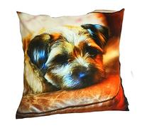 Country Matters Border Terrier Flirty Gerty Cushion