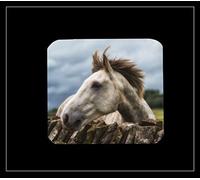Country Matters single photo coaster - I'm Worth It Grey Horse