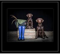 Country Matters Single Photographic Placemat - Chocolate Working Labrador with Puppy - So Proud
