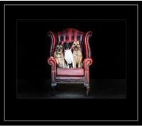 Country Matters The Terriers Placemat