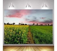 Country Road Field Way between the canola and wheat crops The rape flowers field scenery backdrop photography background