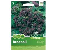 Country Value Broccoli Early Purple Seeds