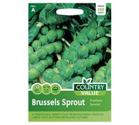 Country Value Brussels Sprout Evesham Seeds
