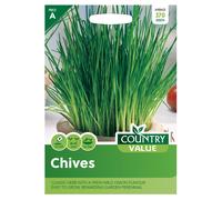 Country Value Chives Seeds
