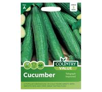 Country Value Cucumber Telegraph Improved Seeds