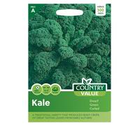 Country Value Kale Dwarf Green Curled Seeds