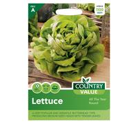 Country Value Lettuce All The Year Round Seeds