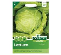 Country Value Lettuce Iceberg 2 Seeds